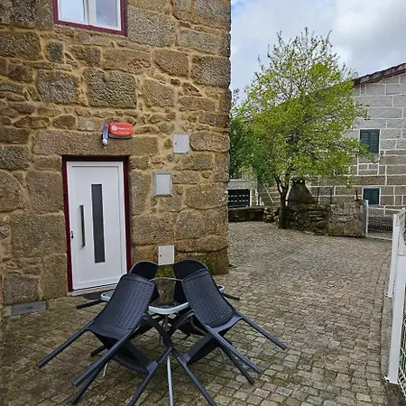 Ares Do Montemuro Campo Benfeito