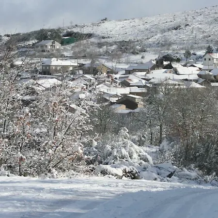 Ares Do Montemuro * Campo Benfeito