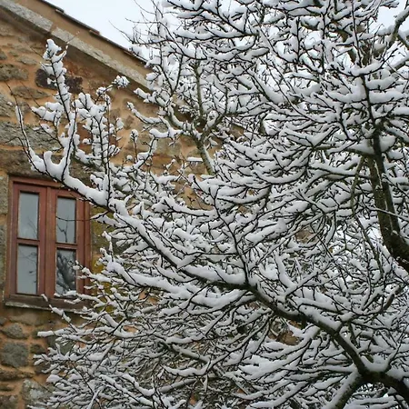 Ares Do Montemuro Campo Benfeito