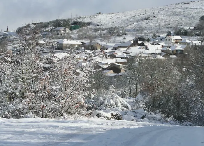 Ares Do Montemuro * Campo Benfeito